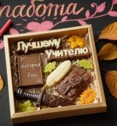 Учителю Истории