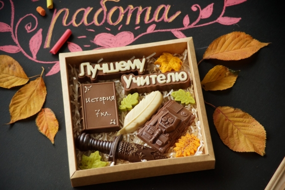 Учителю Истории